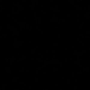 Meet your Posher, Hanna